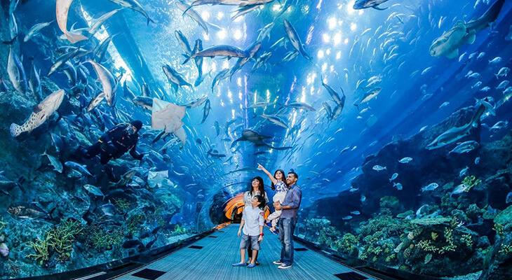 family in underwater zoo