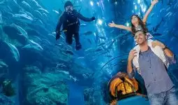 Dubai aquarium & underwater zoo in 3 hours