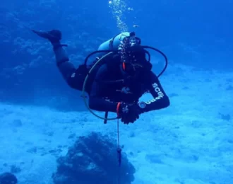 Diving Trip with All Equipment in Jeddah 