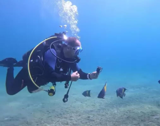 Diving experience in underwater museum