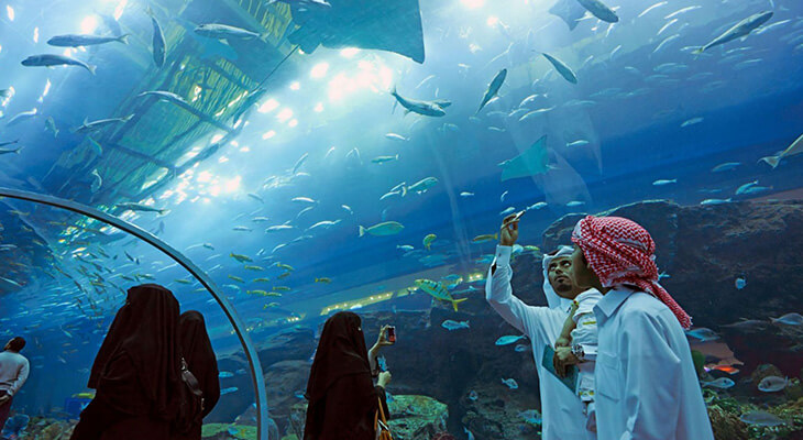 دبي أكواريوم وحديقة الحيوانات المائية في 3 ساعات