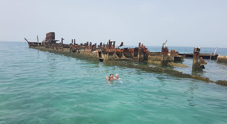 Snorkeling Trip: Live The Underwater Life in Fifi Shipwreck