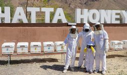 Dubai: 1-hour Hatta Honeybee Garden Tour