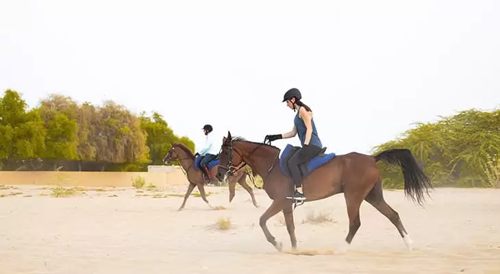 رحلة ركوب الخيل في دبي - الروية