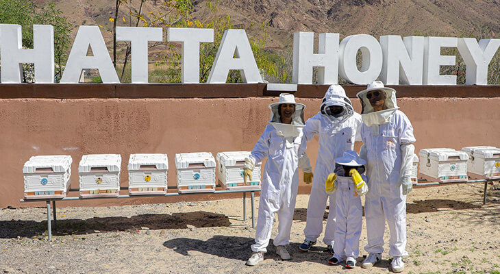 Dubai: 1-hour Hatta Honeybee Garden Tour