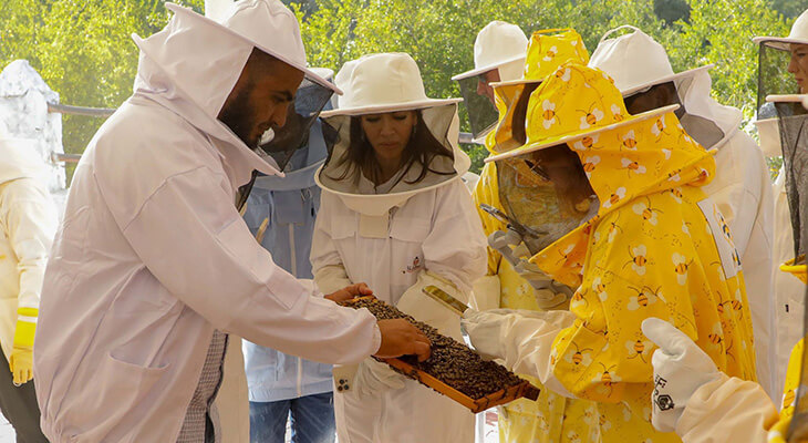 Dubai: 1-hour Hatta Honeybee Garden Tour