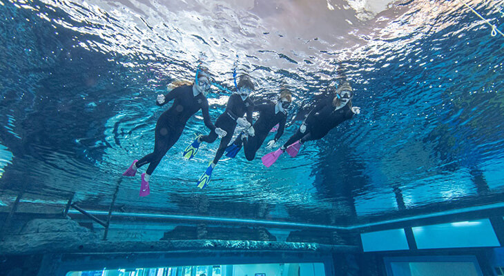 Two Hours Snorkeling Trip in Dubai