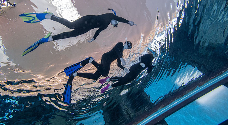 Two Hours Snorkeling Trip in Dubai