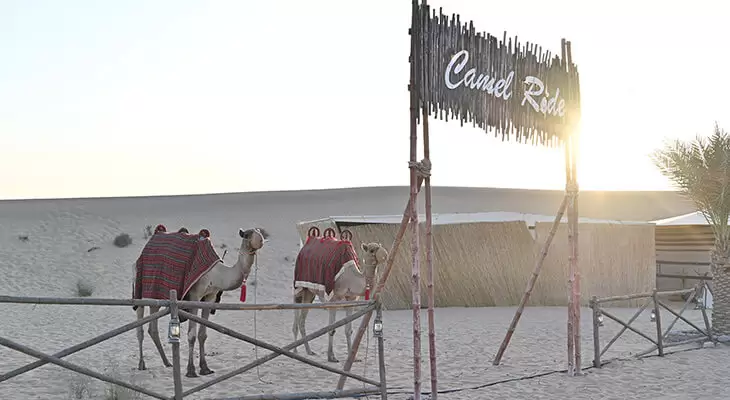 A 6-Hour Safari in Dubai Desert ( Royal Camp )