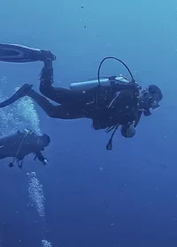 Snorkeling in Oman