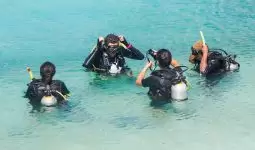 Scuba Diving Trip in Dubai with 14% off