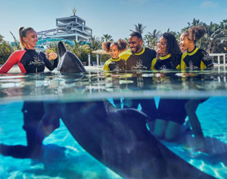 One Hour Tour at Dolphin Bay Lagoon