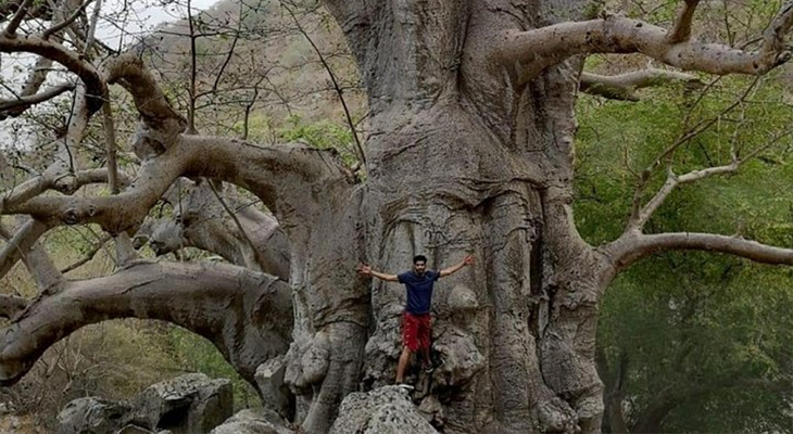 2.5-Hour Trip to Wadi Hanna in Salalah