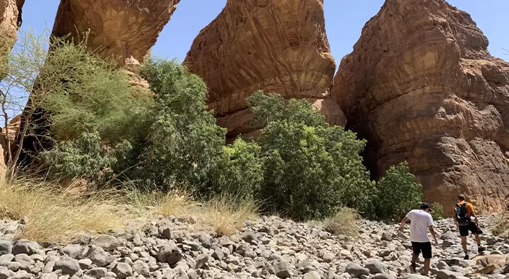 MADAIN SALEH TOUR