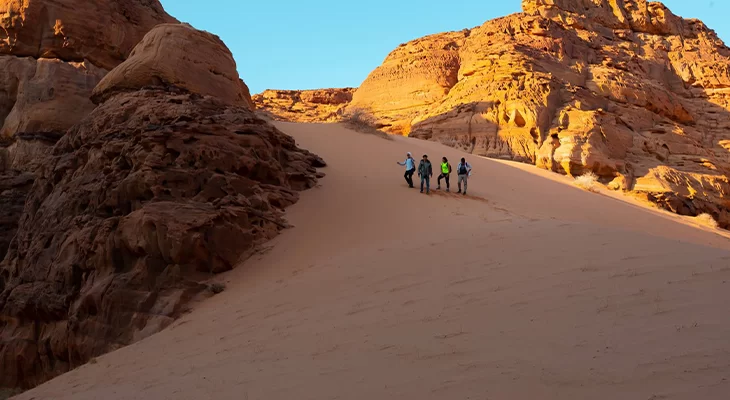 إنضم إلينا في مغامرة ركوب الخيل على البحر