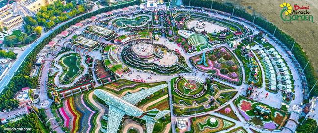 Miracle garden - places to visit in Dubai with family