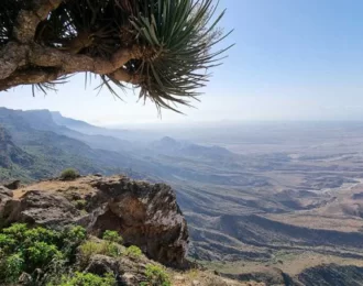 4 to 6-Hour Hiking Trip at Mirbat in Oman with 5% Off