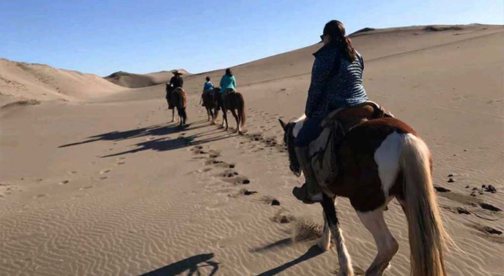 Horseback Riding Tour at Bawshar Sands 