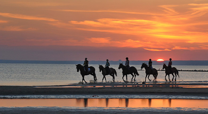 Horse Riding On The Beach At Sunset #3 Photograph By, 59% OFF