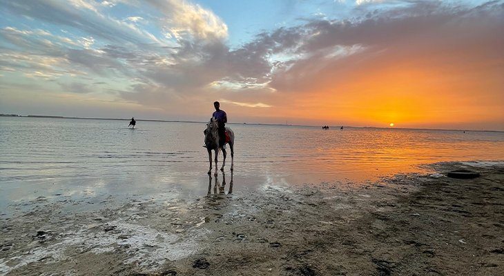 Camping and Horseback Riding Experiences on the Sea for Groups