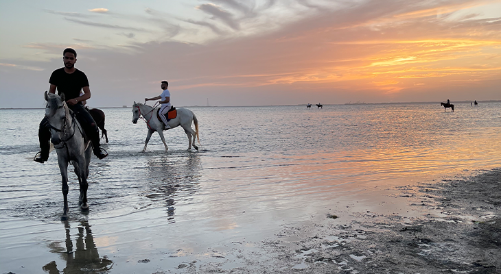 Camping and outlet horseback riding