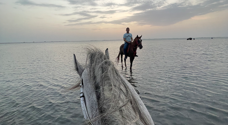 Camping and Horseback Riding Experiences on the Sea for Groups