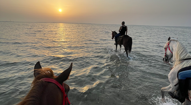 Camping and Horseback Riding Experiences on the Sea for Groups