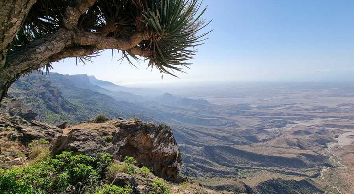 4 to 6-Hour Hiking Trip at Mirbat in Oman with 5% Off