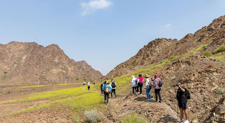 Two-Hour Mountain Hiking Experience on Monday in Hatta 