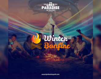 Camp Bonfire Experience with BBQ Party in Bahrain