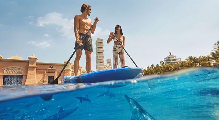 Enjoy one of 3 different experiences with dolphins in Atlantis Dubai 