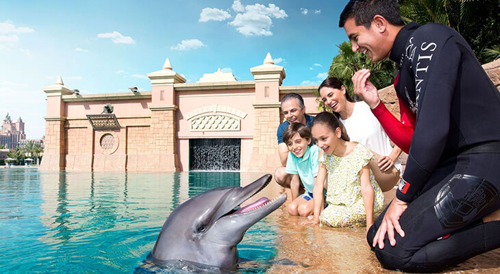 Enjoy one of 3 different experiences with dolphins in Atlantis Dubai 