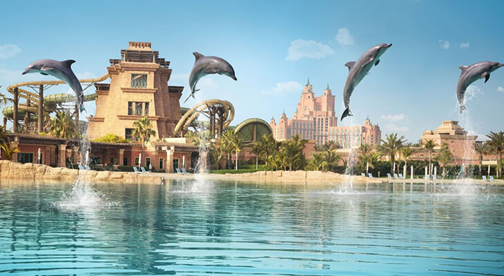 Enjoy one of 3 different experiences with dolphins in Atlantis Dubai 