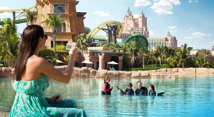 Enjoy one of 3 different experiences with dolphins in Atlantis Dubai 