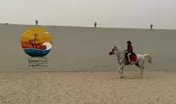 Camp for Families and Groups with Free Horse Riding in Saudi Arabia