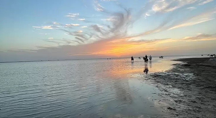 Horse Riding on the Beach for Kids with Professional Guides in Jeddah