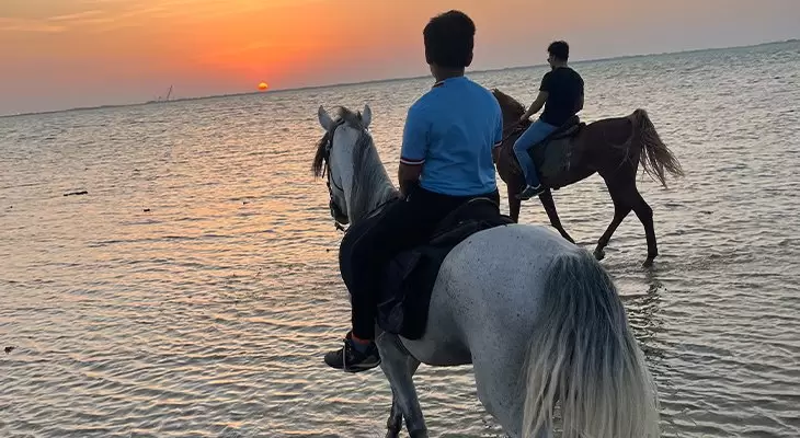 Horse Riding on the Beach for Kids with Professional Guides in Jeddah