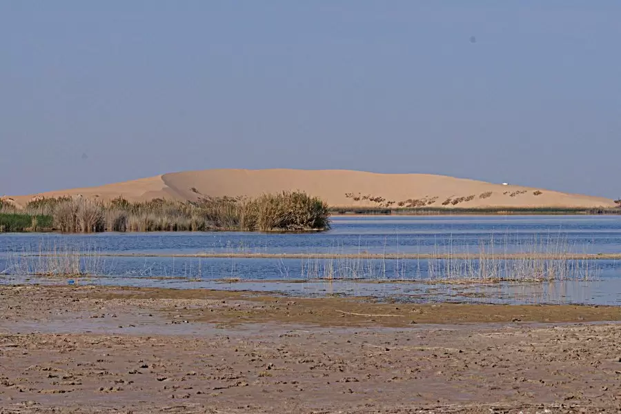 سفاري  إلى بحيرة الأصفر