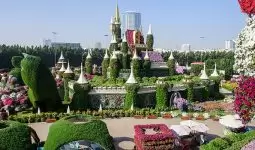 General Admission Miracle Garden Tickets in Dubai