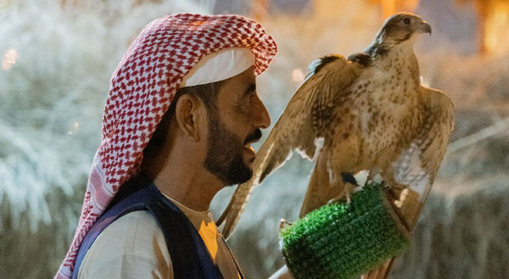 4-Hour Tour Around Dubai with an Emirati Iftar