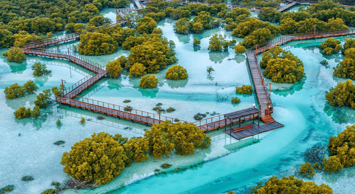 Private Jubail Mangrove Park Tickets