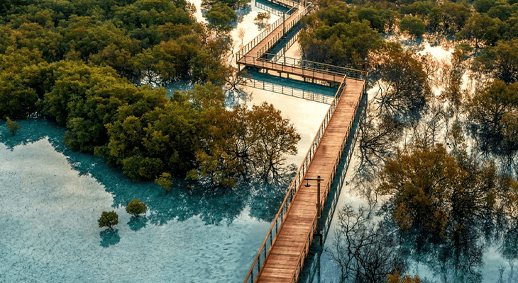 Private Jubail Mangrove Park Tickets