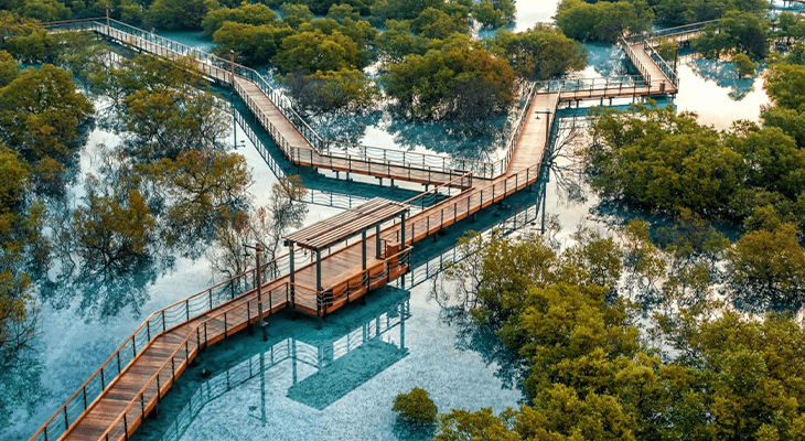 Private Jubail Mangrove Park Tickets