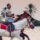 Horse Riding Bahrain