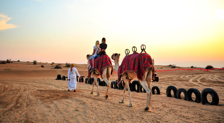 سفاري الصحراء والوادي