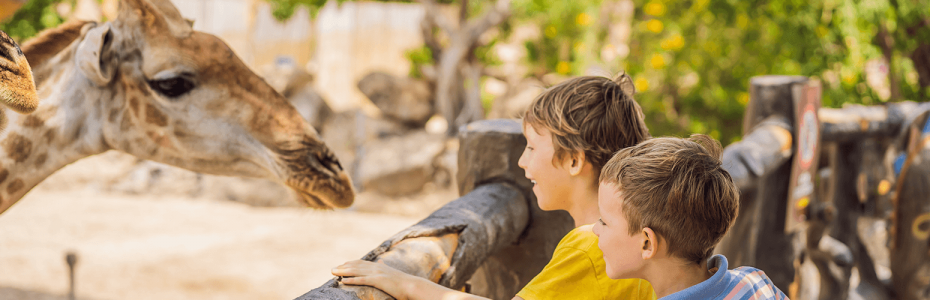 Top 5 zoos in Bahrain for 2024