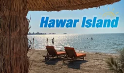 Bahrain: Day Use in Hawar Island with Lunch