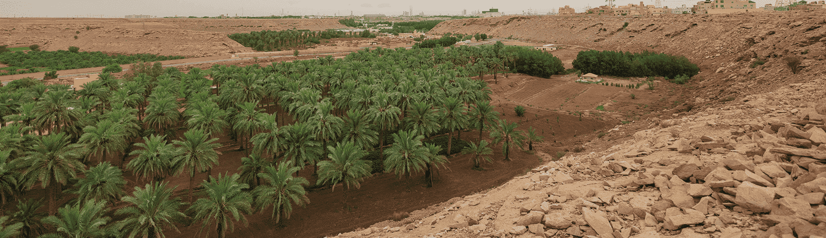 اماكن سياحية في الاحساء