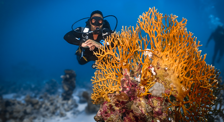 6-Hour Snorkelling Trip in Jeddah with Snorkelling Tools and Snacks