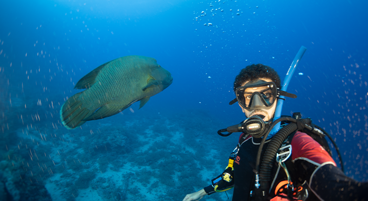 6-Hour Snorkelling Trip in Jeddah with Snorkelling Tools and Snacks